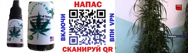 Cannafood марихуана  Купить закладки  Новокузнецк 