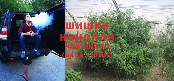 PSILOCYBIN Дмитриев