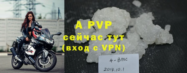 PSILOCYBIN Дмитриев