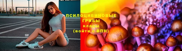 PSILOCYBIN Дмитриев