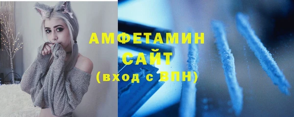 PSILOCYBIN Дмитриев