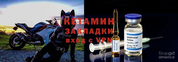 PSILOCYBIN Дмитриев