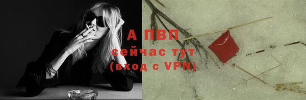 PSILOCYBIN Дмитриев