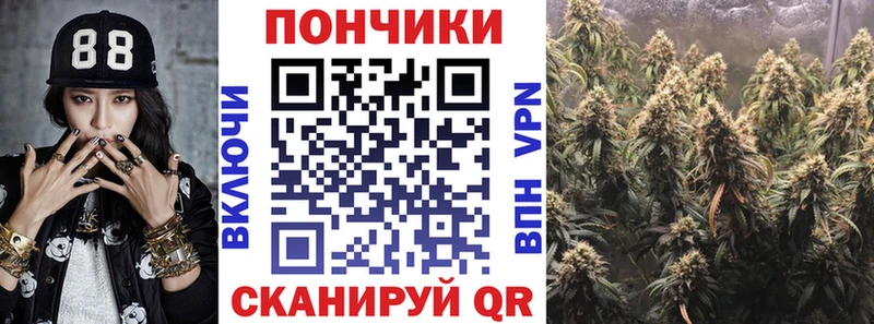 Купить закладки  Новокузнецк  Марихуана индика 